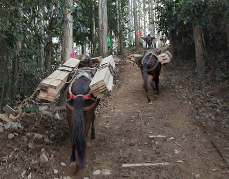 锦屏县马帮工程运输